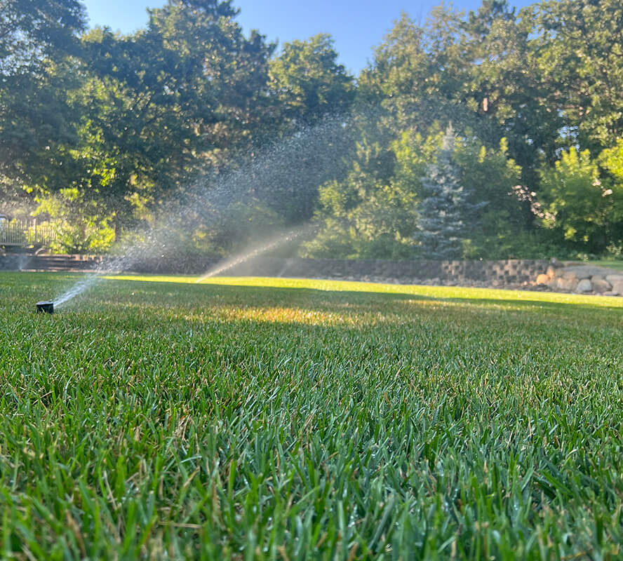 irrigation lawn watering